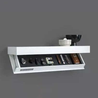 Secret Storage Wall Shelf